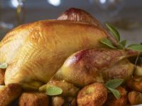 The Essential Turkey Handbook